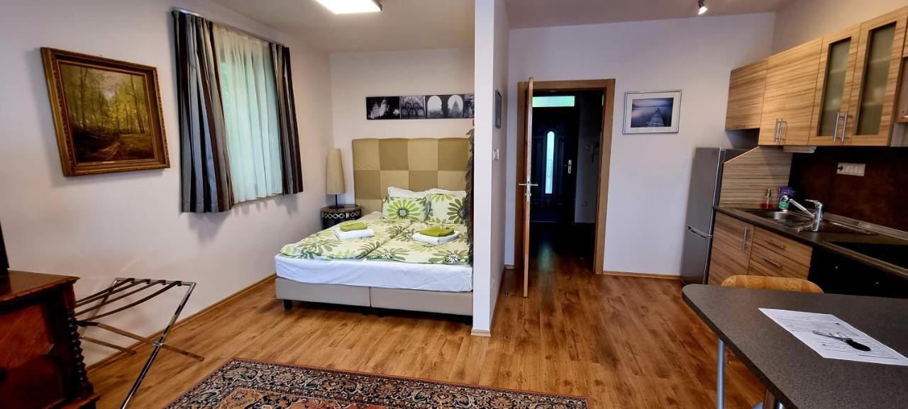 Sofia Apartment Kazmer بودابست المظهر الخارجي الصورة